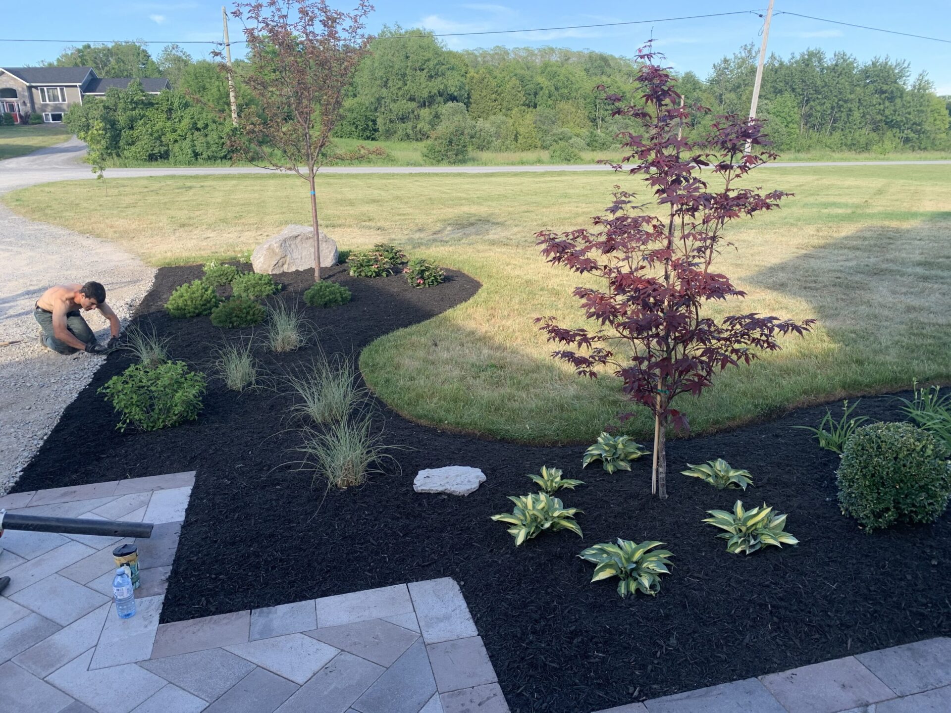 A person works on landscaping a front yard garden with decorative plants and mulch, adjacent to a paved walkway amidst a green lawn.