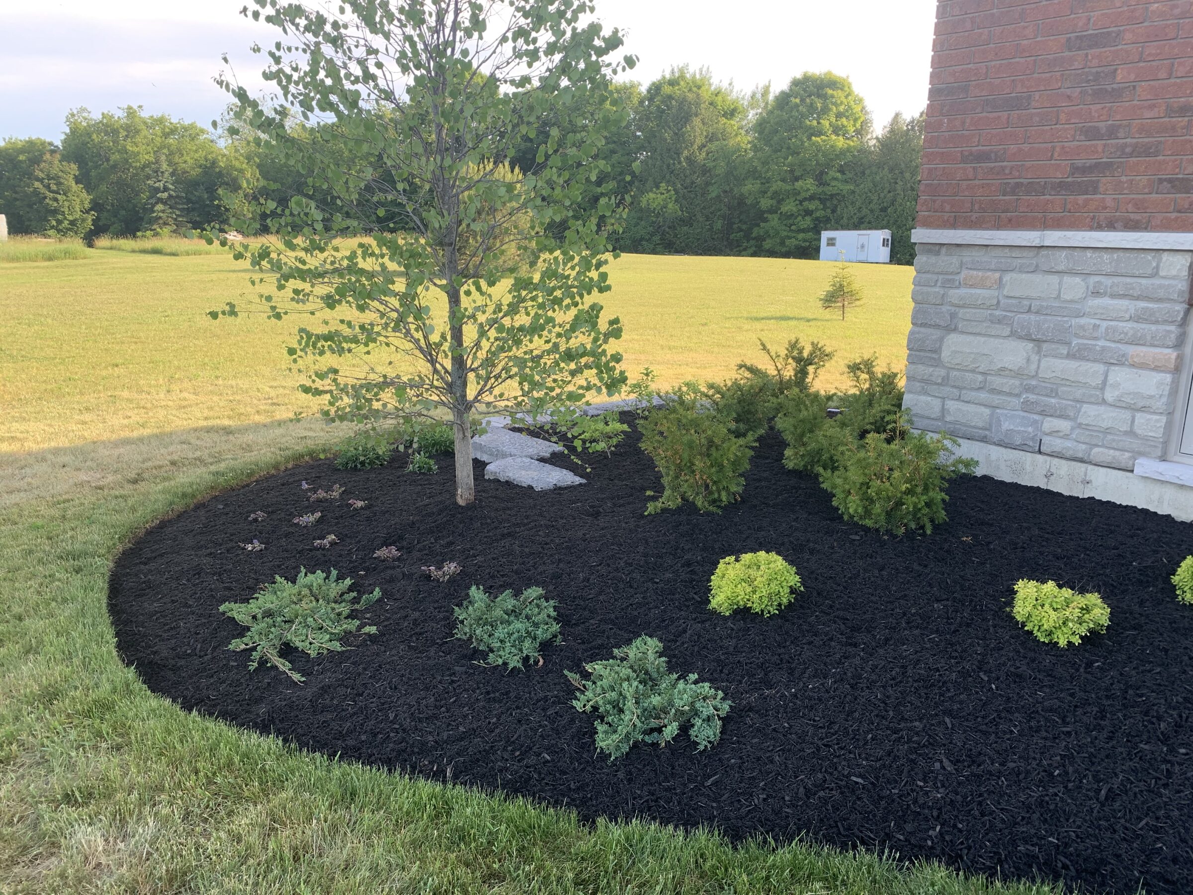 A landscaped garden features shrubs and a young tree on dark mulch near a brick and stone building, with fields in the background.