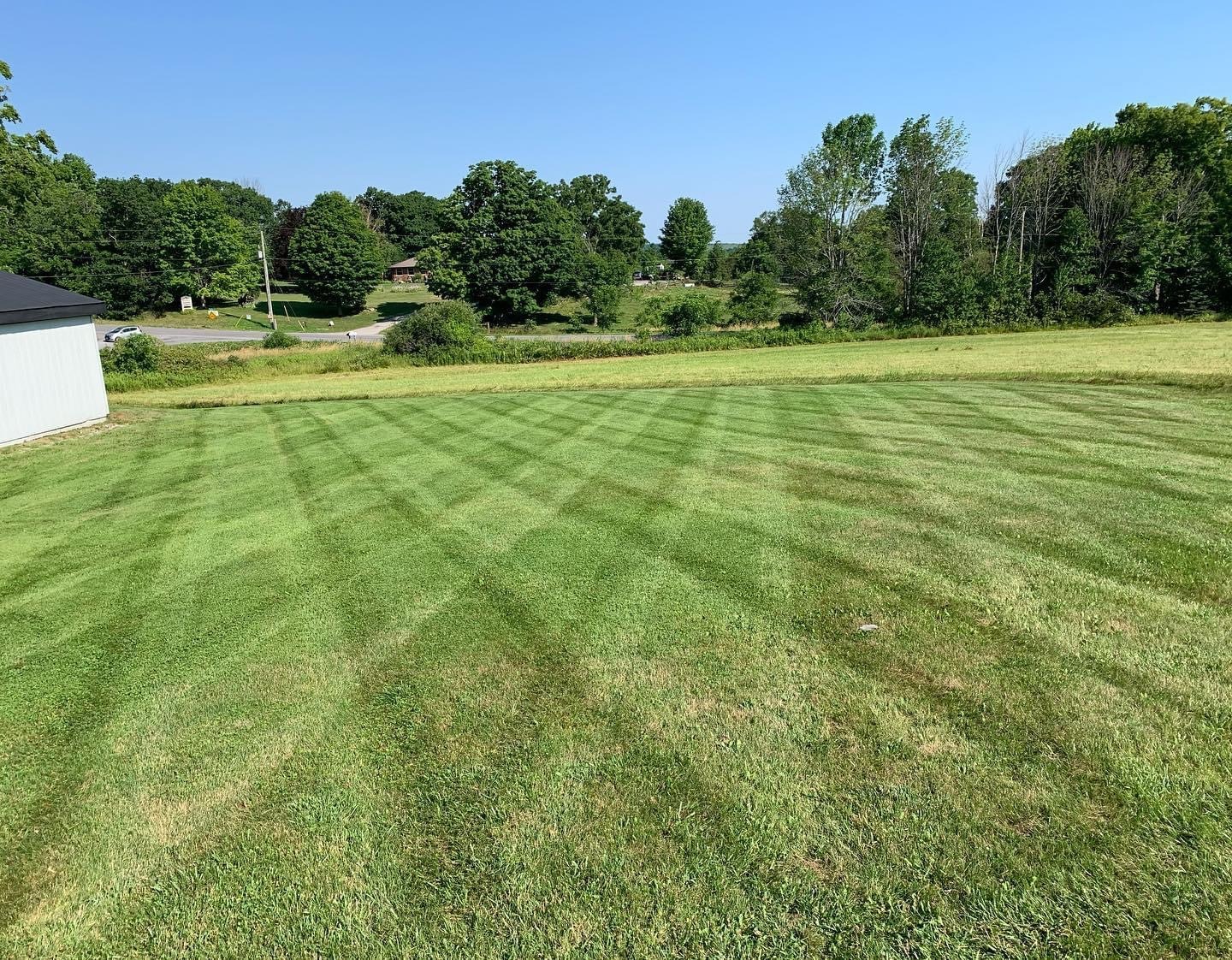 A neatly mowed lawn leads to a country road. Green trees line the background under a clear blue sky.