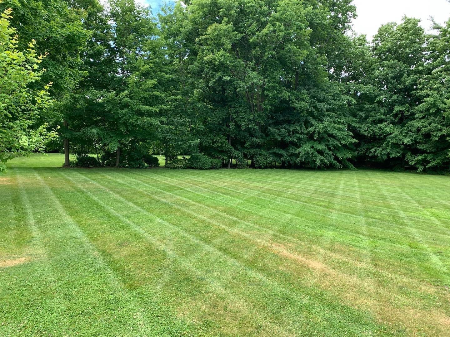 A well-maintained lawn with distinct mowing patterns, bordered by lush green trees, under a clear blue sky, creating a serene outdoor space.