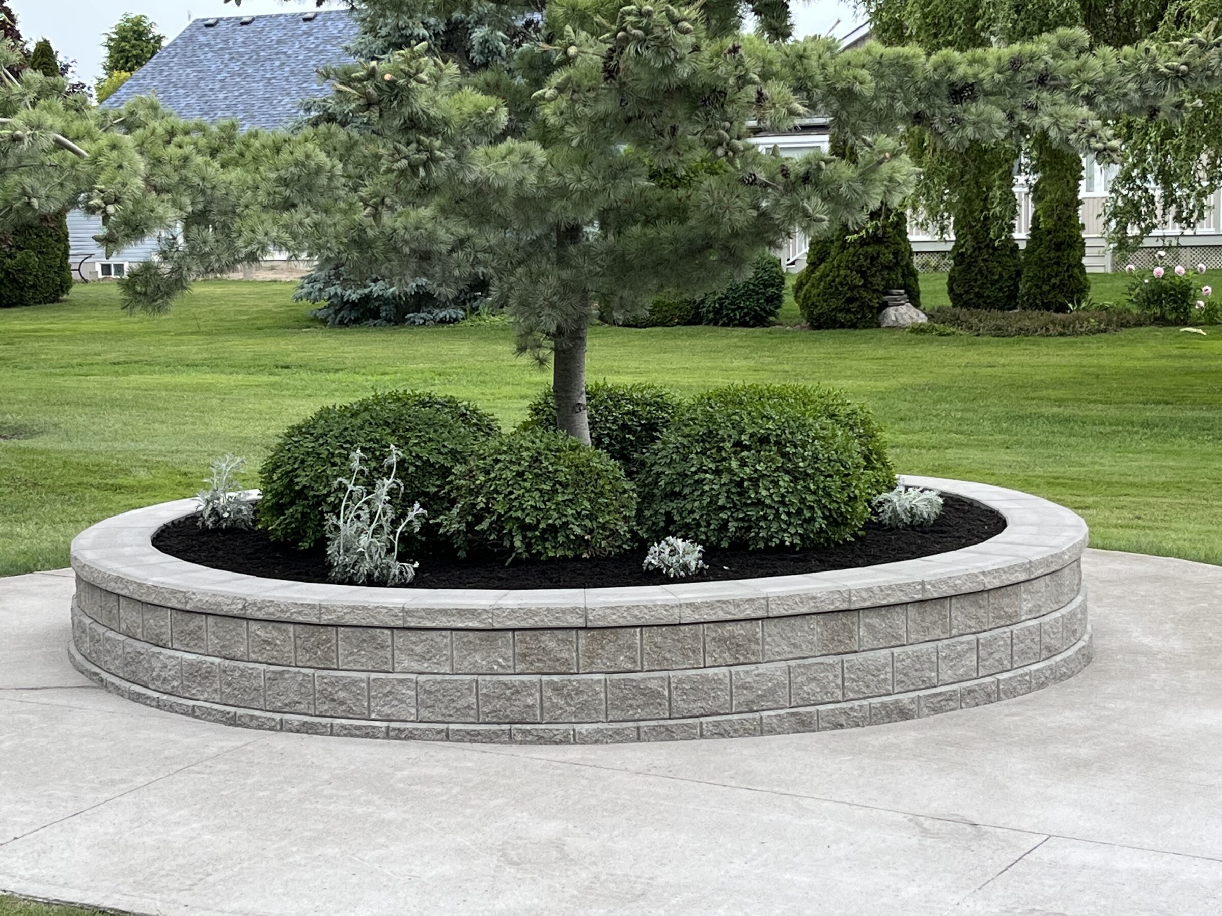 A landscaped garden with circular stone planter features a tree and shrubs, surrounded by neatly cut grass and residential scenery.