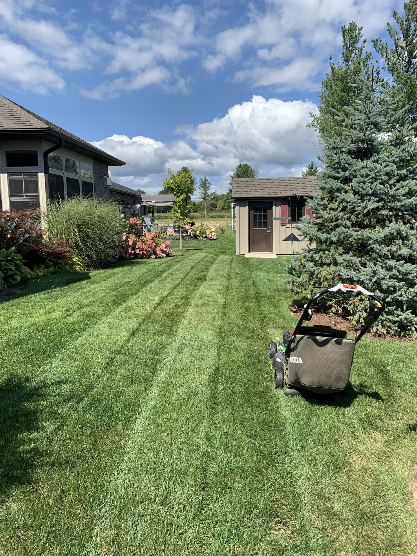 A neatly mowed lawn with a lawnmower, surrounded by houses, flowers, and trees under a bright blue sky with scattered clouds.