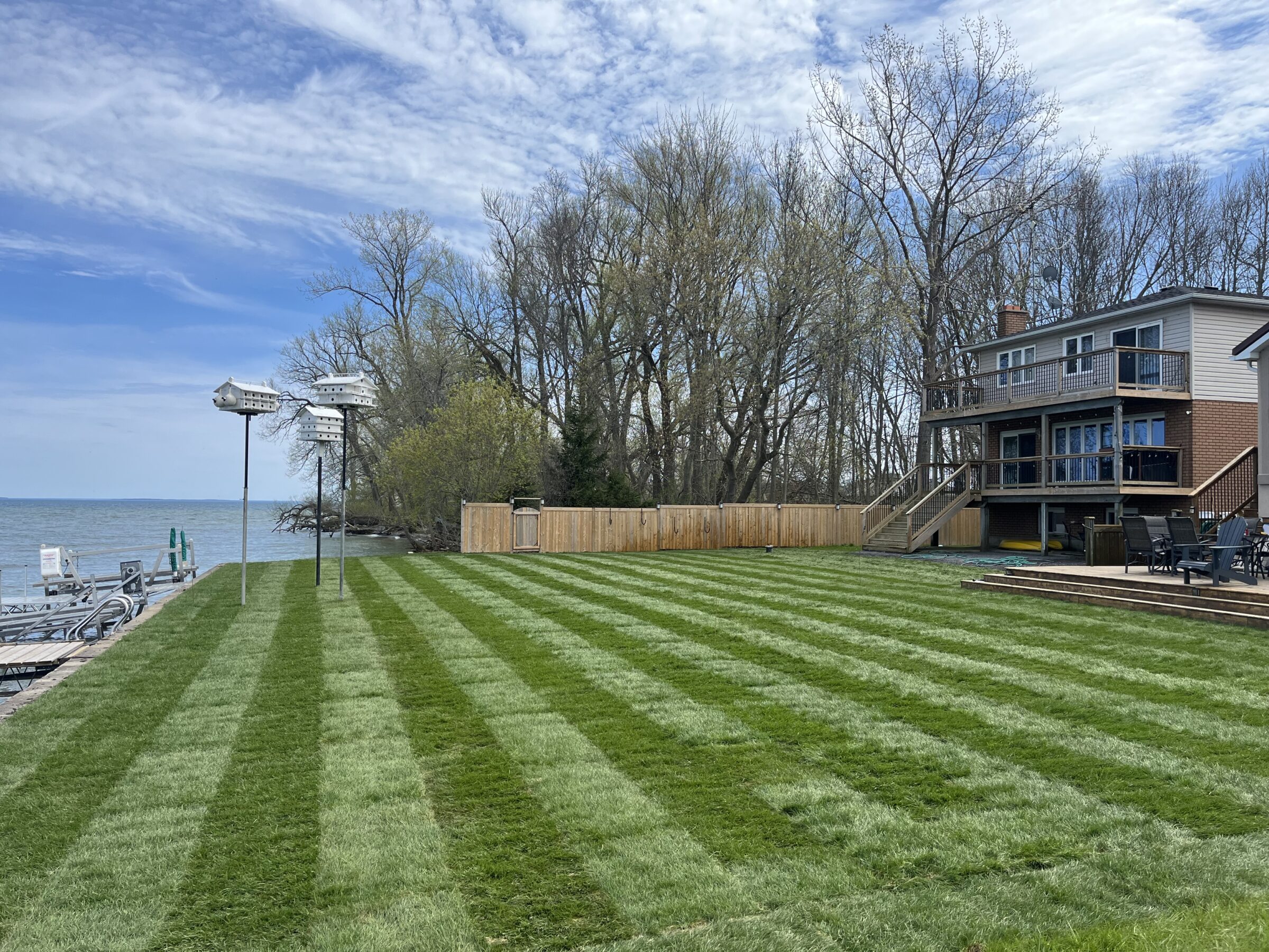 Spacious lakeside backyard with striped lawn, birdhouses, and a wooden deck house. Trees line the horizon under a partly cloudy sky.