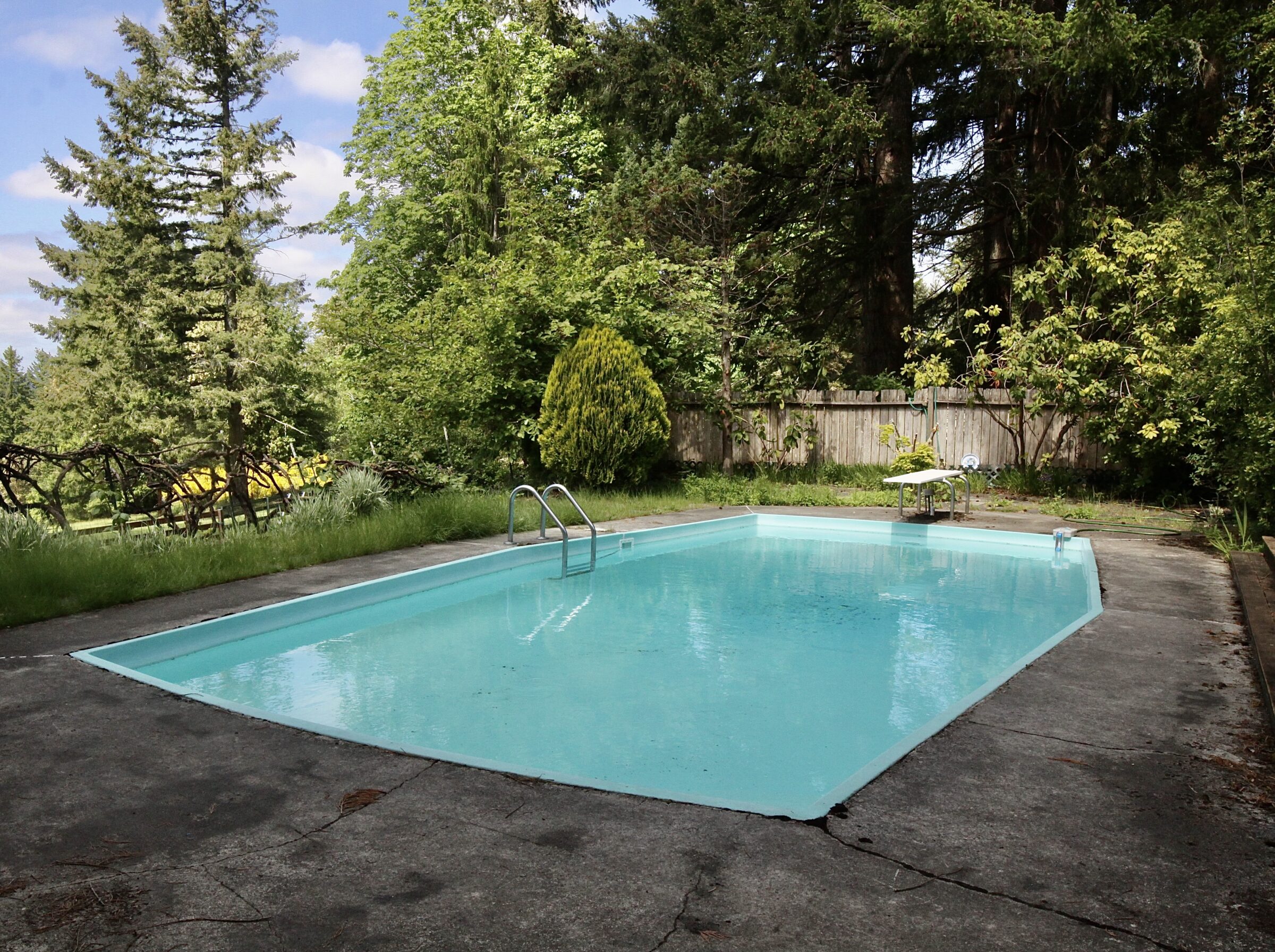 A serene backyard swimming pool surrounded by lush greenery, tall trees, and a wooden fence under a clear blue sky.