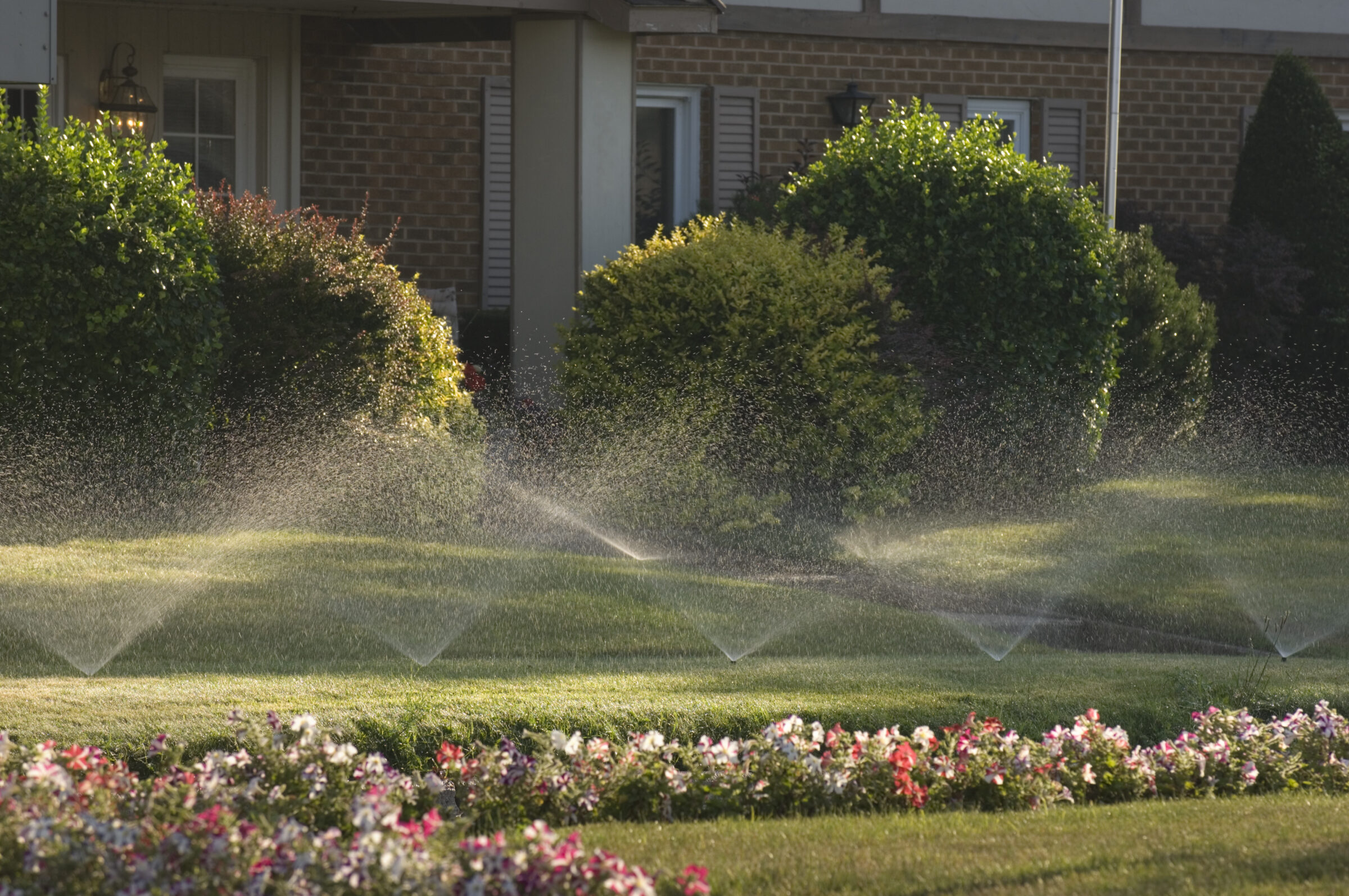 Sprinklers water a lush garden with colorful flowers. Greenery surrounds a brick house, creating a serene suburban landscape scene.