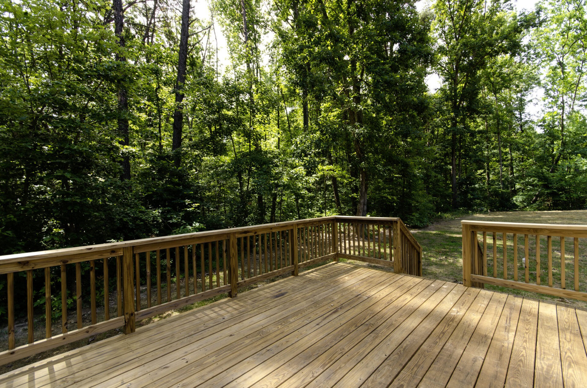 A wooden deck overlooks a lush, green forest with tall trees and dappled sunlight streaming through the foliage on a clear day.