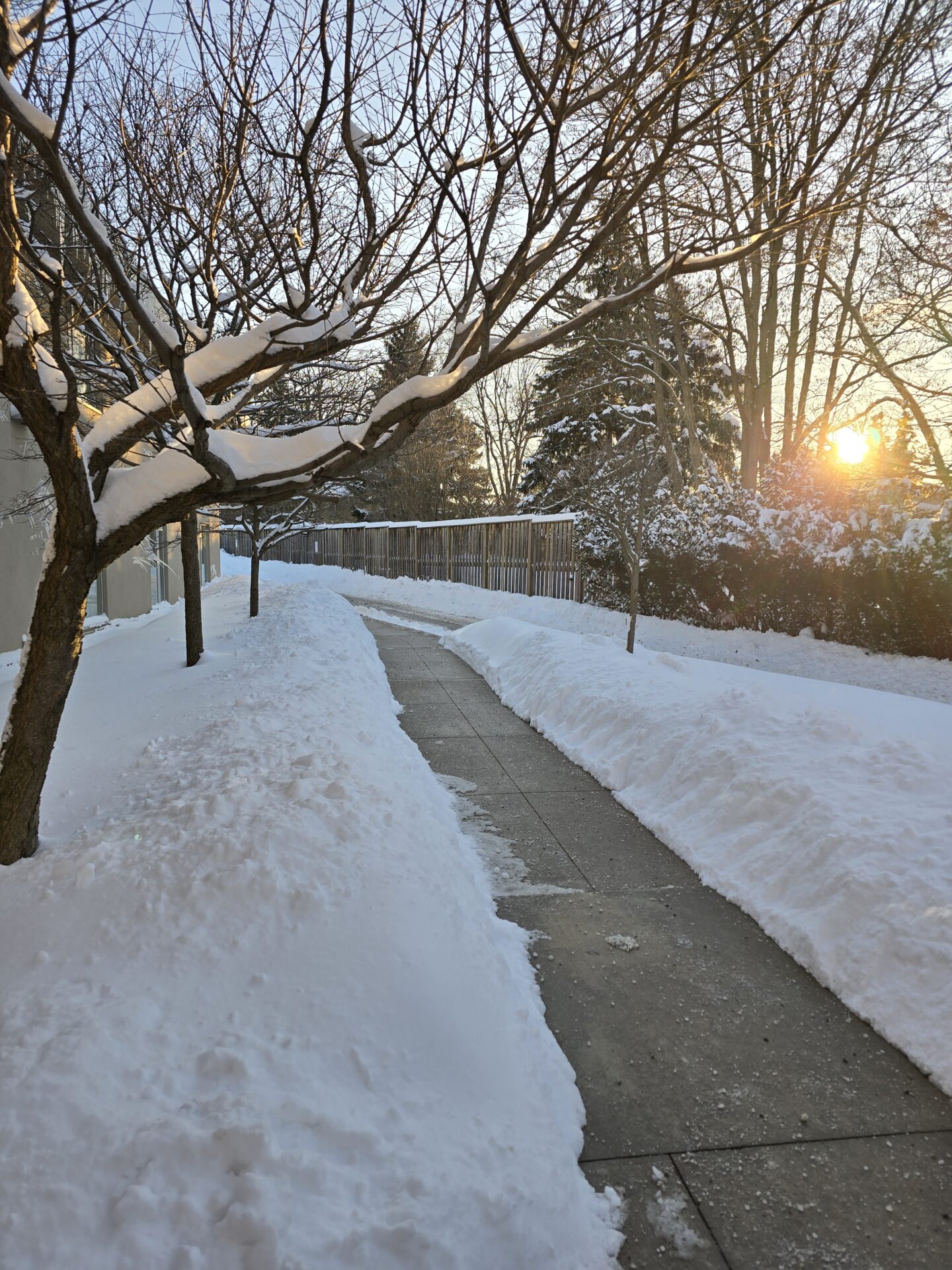 Snow-covered path lined with bare trees, leading into sunrise. Thick snowbanks border the walkway, casting shadows in the early morning light.