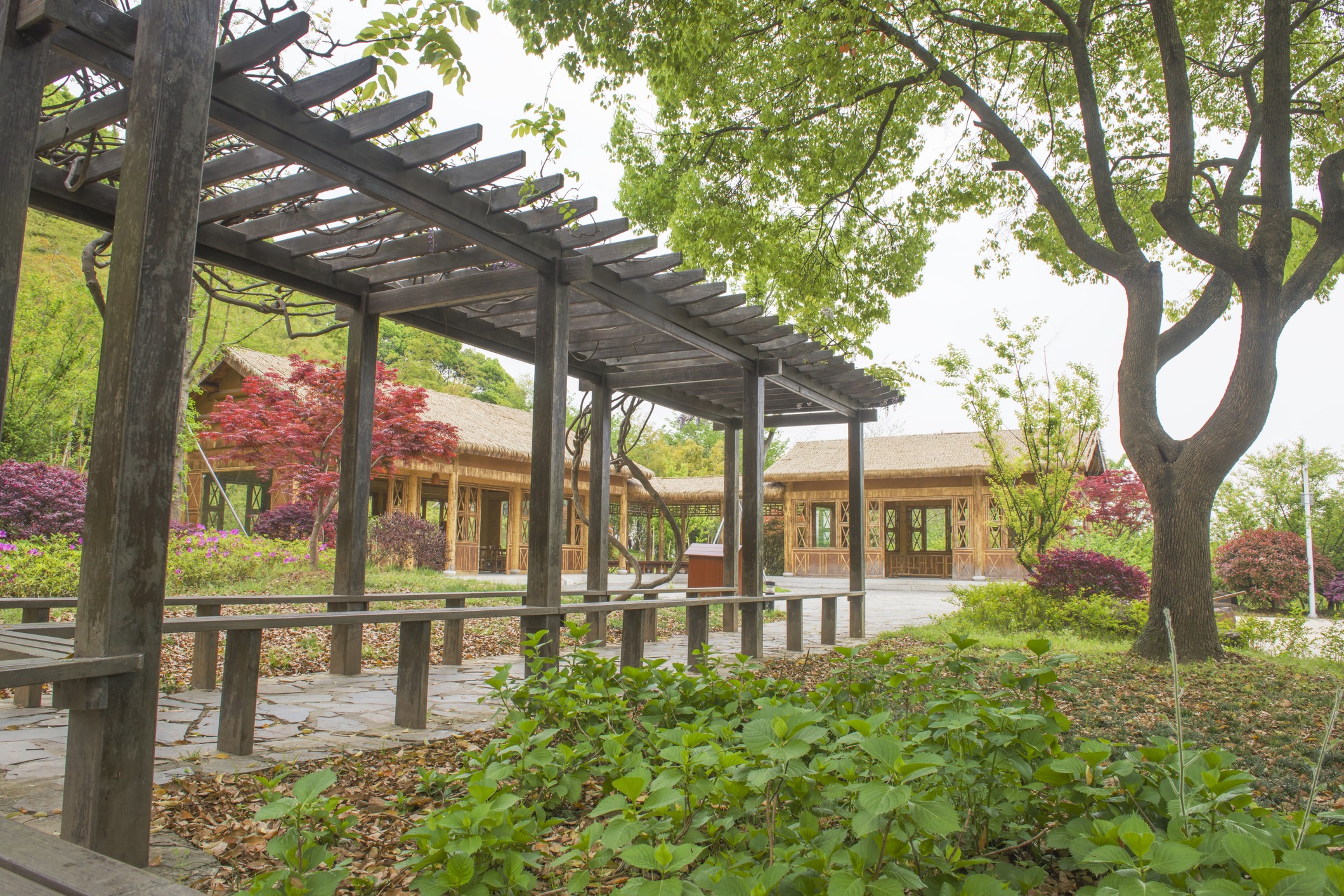 A peaceful garden scene with wooden pergola, stone path, lush trees, vibrant plants, and traditional-style wooden buildings, creating a serene outdoor space.